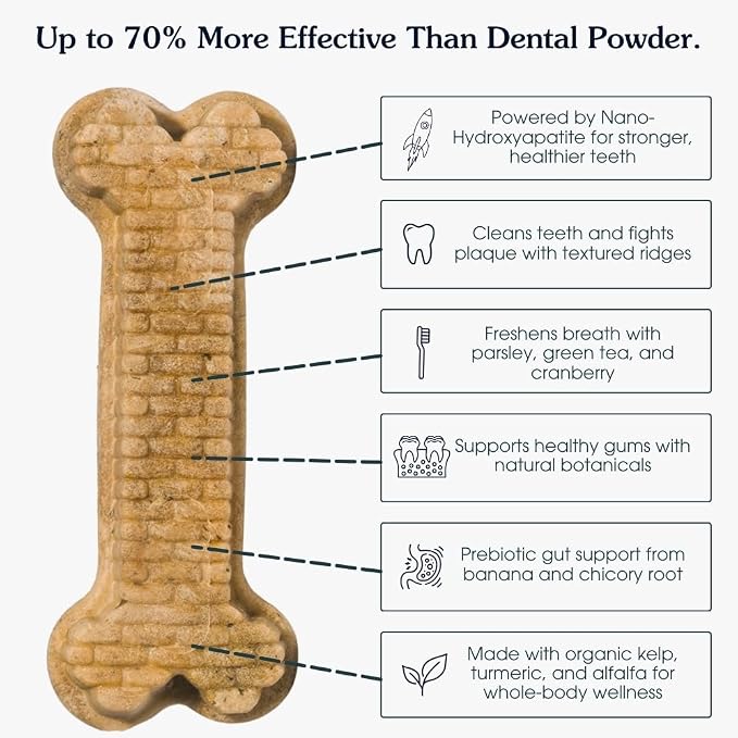 Arterra Pet Science Dog Dental Chews with Nano-Hydroxyapatite Next-Generation Daily Chews for Stronger Teeth, Fresh Breath, and Healthy Gut, 14 Count, Pack of 1