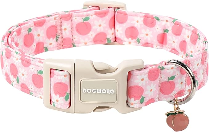 DOGWONG Pink Dog Collar, Pink Peach Dog Collar with Plastic Buckle,Girl Female Dogs Collars for X-Small Puppies Dogs, Neck 8-12 inches