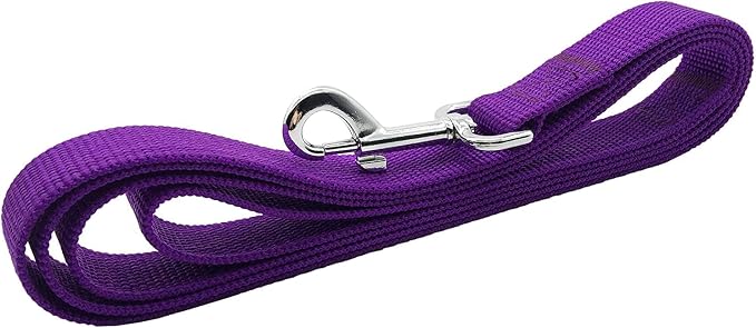 TAIAN 4FT/5FT/6FT Strong Dog Leash, Nylon Dog Leashes for Small Medium Large Dogs (Purple, 1 in x 15 ft)