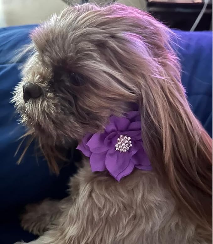 Rhinestone Dog Collar, Cute Dazzling Sparkling Soft Suede Leather Dog Cat Rhinestone Collar Crystal Diamond Pet Dog Puppy Collar (Purple5, XS)