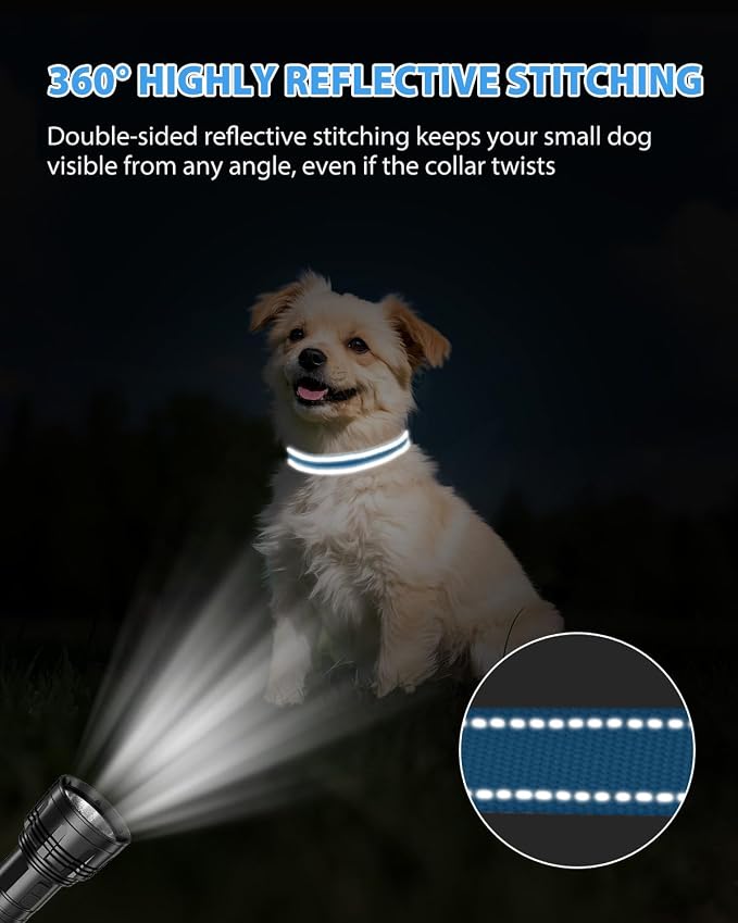 Joytale Small Dog Collar, Durable Double-Sided Reflective Nylon Collar for Night Safety, Adjustable Quick-Release for Active Breeds, Sky Blue, S (3/4" Width)