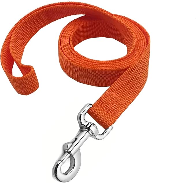 Strong Nylon Dog Leash, 4FT/ 5 FT/ 6FT Dog Leashes for Medium Large Dogs (5FT, Orange)