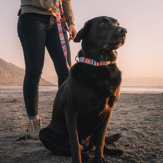 Wolfgang Heavy Duty, Adjustable Dog Collar with Quick Release Nylon Buckle for Walking & Training, Quetzal Print, Small