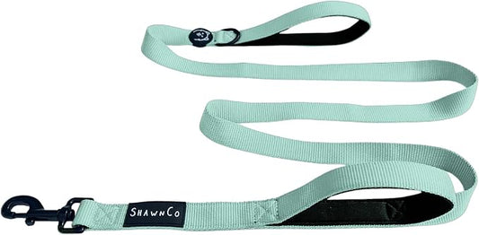 ShawnCo Dream Walk Dog Leash- Premium, Nylon Pet Leash with Soft Neoprene Handle for Small, Medium and Large Dogs (Seafoam, M/L 6FT w/ 2 Handles)