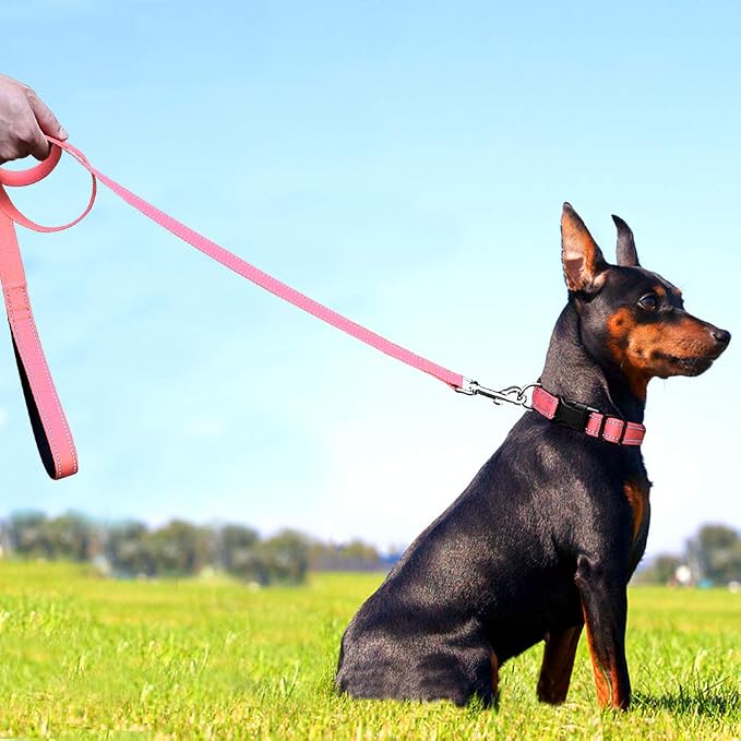 FunTags 6FT Neon Pink Reflective Dog Leash for Medium & Small Dogs Walking, Soft Padded Handle Comfortable Grip, Heavy Duty Nylon, Reflective for Night Walking, 3/4in Wide