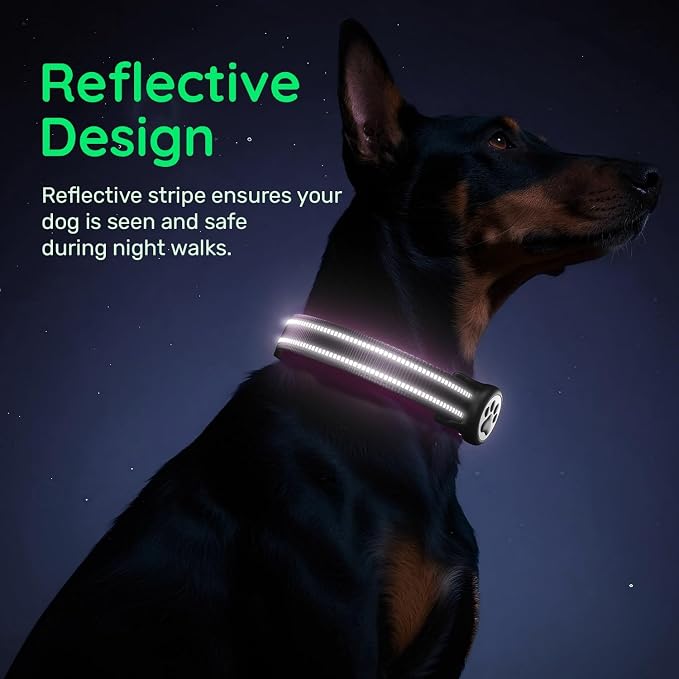 Airtag Dog Collar, Reflective Ultra-Durable Nylon Padded with QR Buckle & IP68 Waterproof Air Tag Holder Compatible for Apple AirTag, Comfortable for Small Medium Large Dogs (Purple, XS)