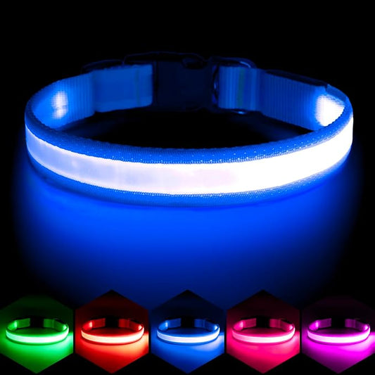 Vizpet LED Dog Collar, Light Up Dog Collar Adjustable USB Rechargeable Super Bright Safety Light Glowing Collars for Dog(Large,Blue)