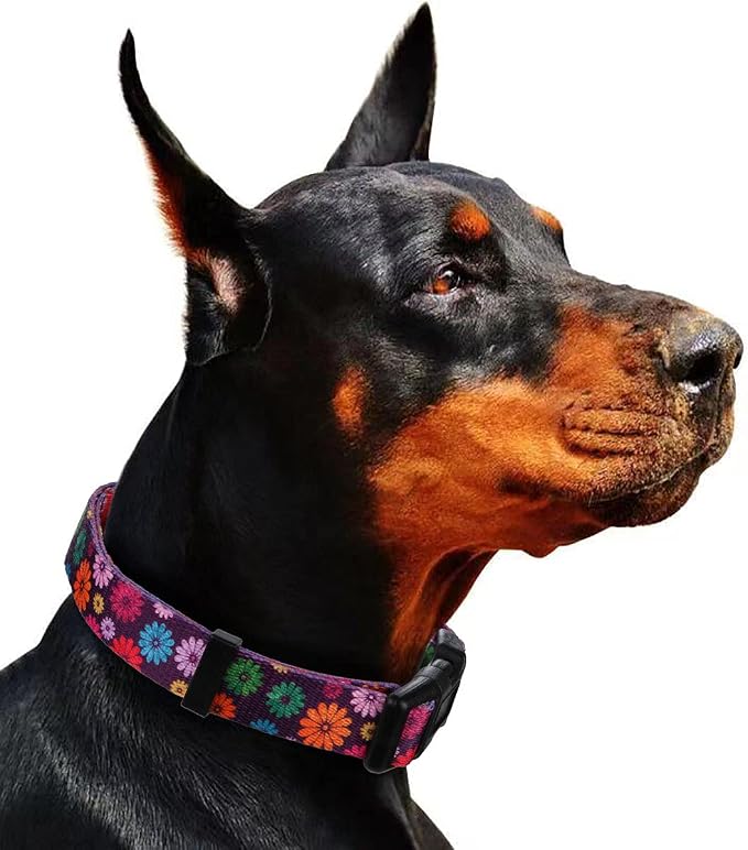 Girl Dog Collars Fall Daisy Pattern, Colorful Flowers Print, Female Collar, Dark Purple, Medium
