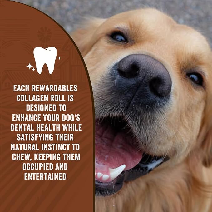 Rewardables Healthy Chewers Peanut Butter Collagen Rolls 2 Count for Large Dogs | High Protein, Long Lasting, Collagen Rich Chews