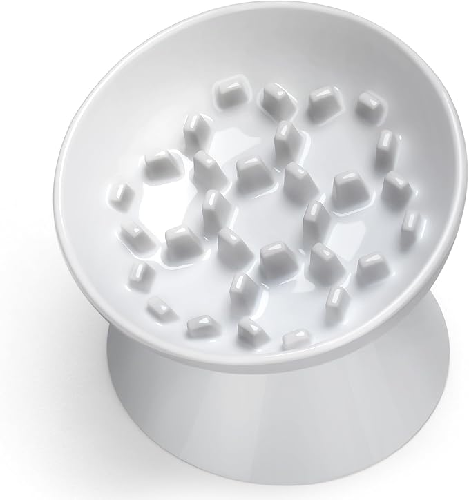 Ceramic Slow Feeder Cat Bowl, 2 Cups Tilted Elevated Cat Slow Feeder Bowl for Dry and Wet Food, Honeycomb Design for Preventing Vomiting & Bloating (White-Honeycomb)