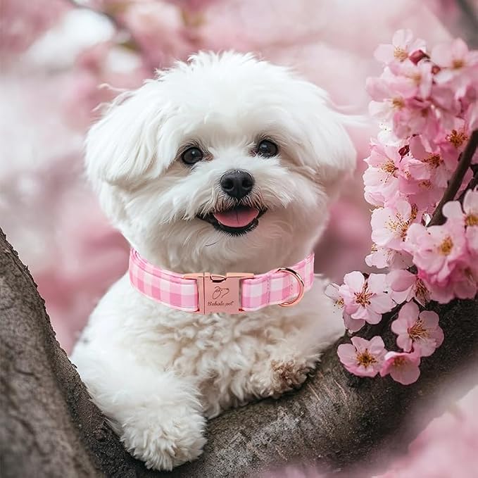 Girl Dog Collar, Classic Pink Gingham Dog Collars - Soft Adjustable Spring Summer Everyday Collars for Small Medium Large Dogs, Sweet Checkered Female Dogs Collar M