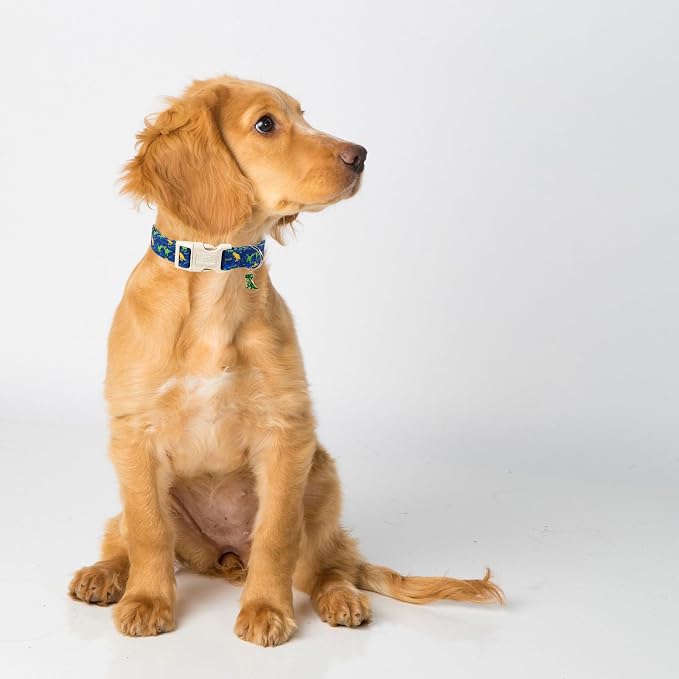 Dinosaur Dog Collar, Cute Boy Dog Collars for Large Dogs - Blue Multicolor Dino Cotton Male Dogs Collar, Soft Adjustable Daily Pet Collars with Quick Release Buckle L