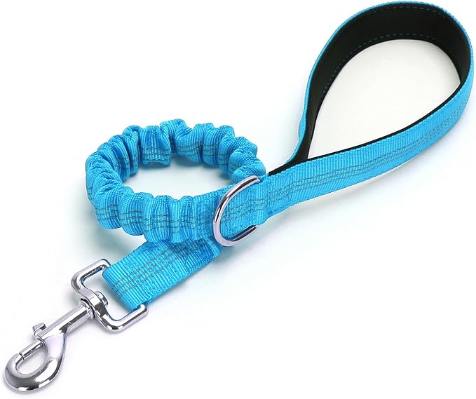 2FT Bungee Dog Leash, Highly Reflective Strong Nylon Traffic Leash, Shock Absorbing Short Pet Lead for Large Medium Dogs Walking Training Controlling, Blue