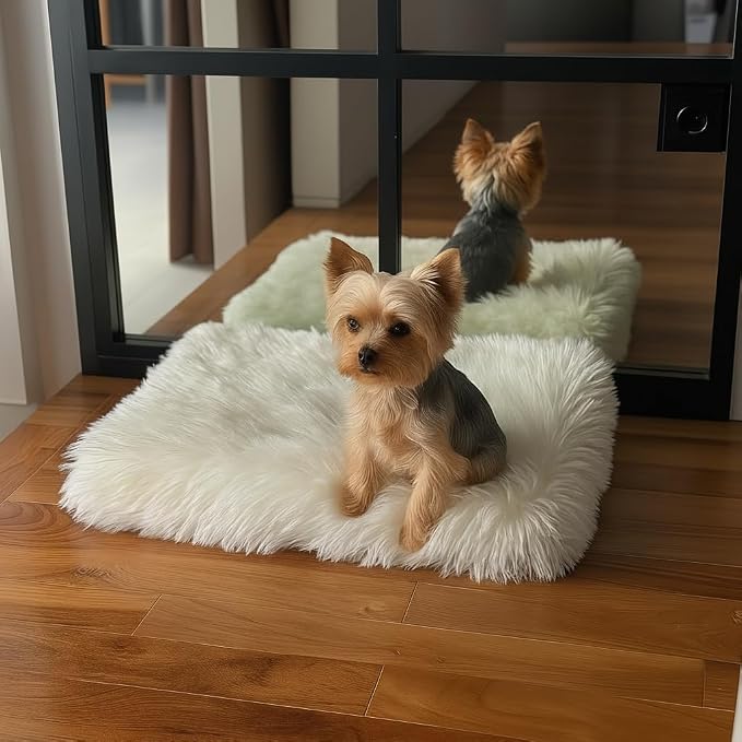 IHAPPYDOG Faux Fur Orthopedic Dog Bed, Memory Foam Rectangular Crate Bed for Large XL Dogs, Plush Furry Bed that Looks Like a Rug, Calming Bed for Senior Dogs, Washable Cover - White, Small 23"x18"