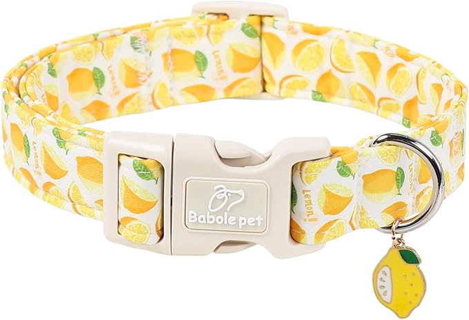 Summer Dog Collar Yellow Lemon Dog Collars for Small Dogs - Lightweight Adjustable Cute Male Female Dogs Everyday Collar with Safety Buckle S