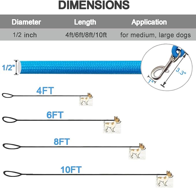 MayPaw 4/6 /8/10 FT Dog Leash, Classic Solid Colors, Strong Nylon Rope Dog Leash Reinforced with Leather Tailor Connection Heavy Duty Silver Clasp (Blue, 4ft*1/2")
