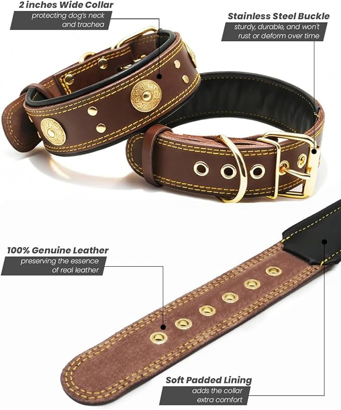 Genuine Leather Dog Collar for Large Dogs,2 in Wide Heavy Duty,BN-GD-S | Handmade,Stainless Steel Pin Buckle,Soft Padded,Alloy Studded,Luxury Eye-catching Design,Medium Large Giant Breeds,15-19 in