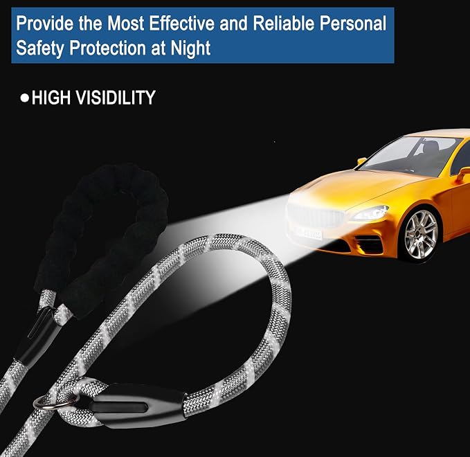 Dog Leash 6 FT, Durable Premium Quality Strong Training Rope Slip Leash with Comfortable Padded Handle and Highly Reflective Threads for Small Medium and Large Dogs, (Light Gray)