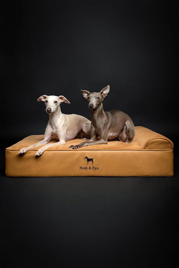 NOAH & PAW Large Dog Bed, 35x25x8.7 Inch, Orthopedic Dog Beds, Eggshell Memory Foam Infused with Cooling Gel, Water Resistant, Machine Washable, Includes Inner Cover (Faux Leather)