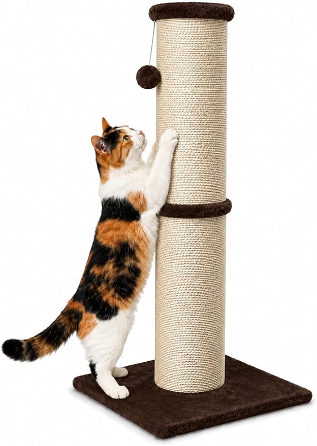 PAWSCRAT Cat Scratching Post 32 Inch High, 5.5 Inch Large Diameter Natural Sisal Cat Scratch Post, Scratch-Resistant and Durable Tall Cat Scratcher for Indoor Cats, Protect Your Furniture, Brown