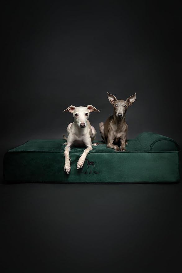 NOAH & PAW Large Dog Bed, 35x25x8.7 Inch, Orthopedic Dog Beds, Eggshell Memory Foam Infused with Cooling Gel, Water Resistant, Machine Washable, Includes Inner Cover (Velvet Collection)
