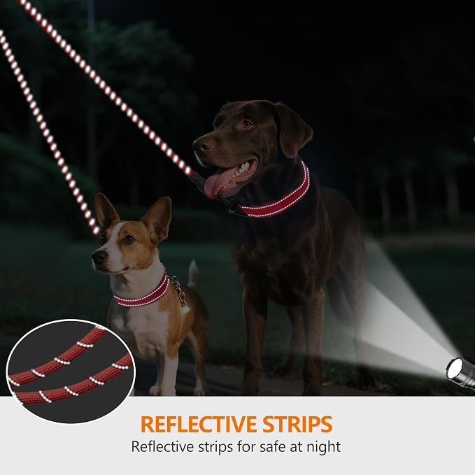 Taglory Double Dog Leash Coupler for Two Dogs, 1/3" Lightweight Dual Leash Extension for Small and Medium Dogs, No Tangle 360° Swivel, Reflective Rope, 30 Inch, Red