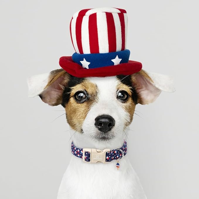 Maca Bates American Flag Star Dog Collar for Dogs 4th of July Adjustable Durable Soft Patriotic Blue Basic 4 of 7 Collars Independence Day Gift for Small Boy Girl Male Female Puppy
