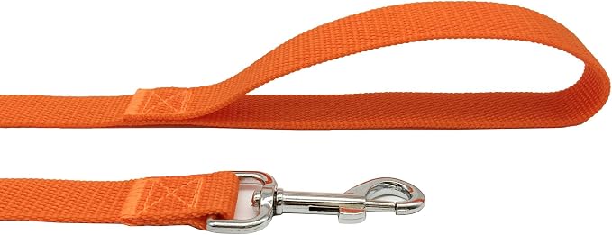 TAIAN 4 FT Strong Dog Leash, Nylon Dog Leashes for Small Medium Large Dogs