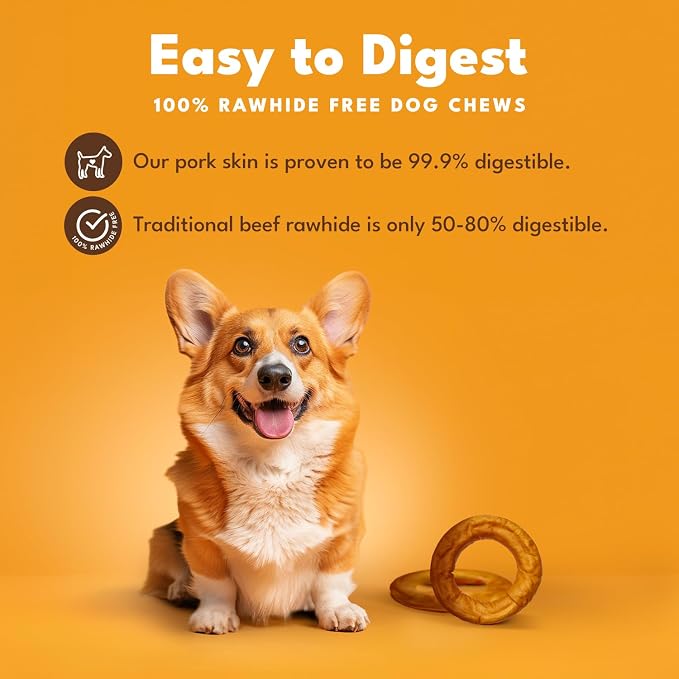 Pork Chomps Roasted Pork Skin Dog Chew, 6 Inch Bagel, 1 Count - Long-Lasting Treats for Dogs - High Protein, Rawhide-Free, Low Fat, Healthy & Delicious Chews