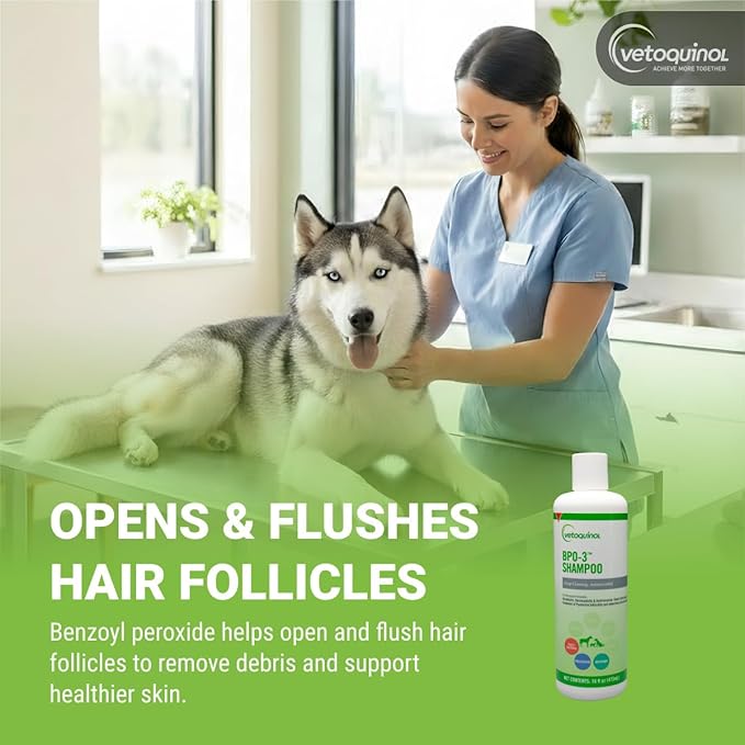 Vetoquinol BPO-3 Shampoo for Dogs, Cats & Horses (3% Benzoyl Peroxide) – 16oz – Deep Cleaning, Medicated Shampoo Opens & Flushes Hair Follicles – Degreases Oily Coats – Soothes Red, Flaky, Itchy Skin
