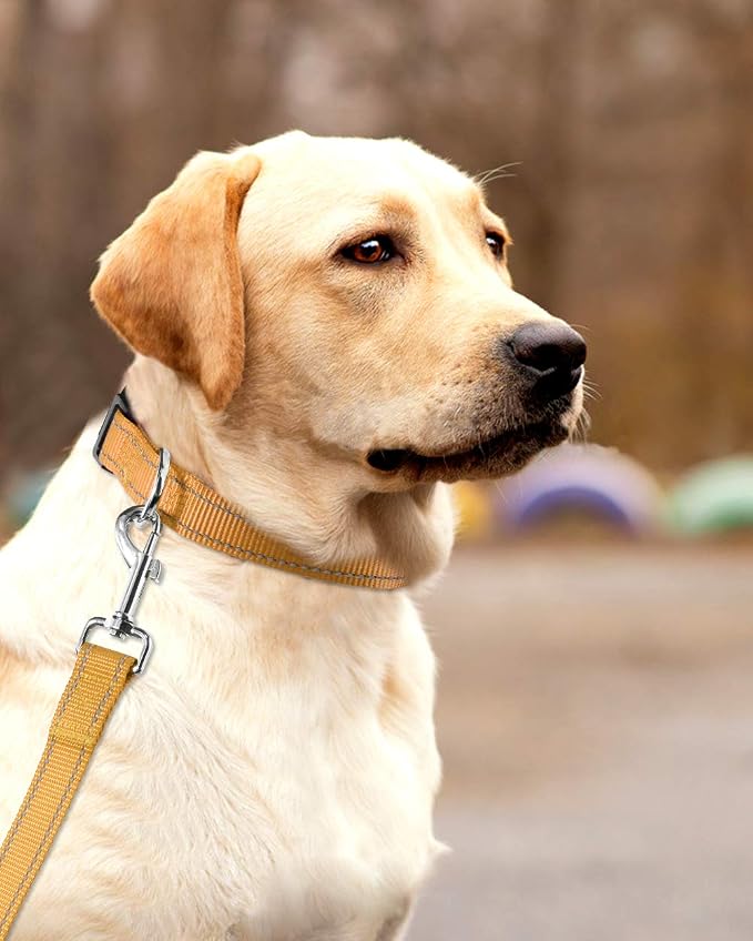 FunTags Length 16" - 24" Reflective Khaki Dog Collar for Large Dogs – Night Walking & Training Safety, Durable Quick Release Buckle, Nylon, Comfortable Adjustable, Width 1"