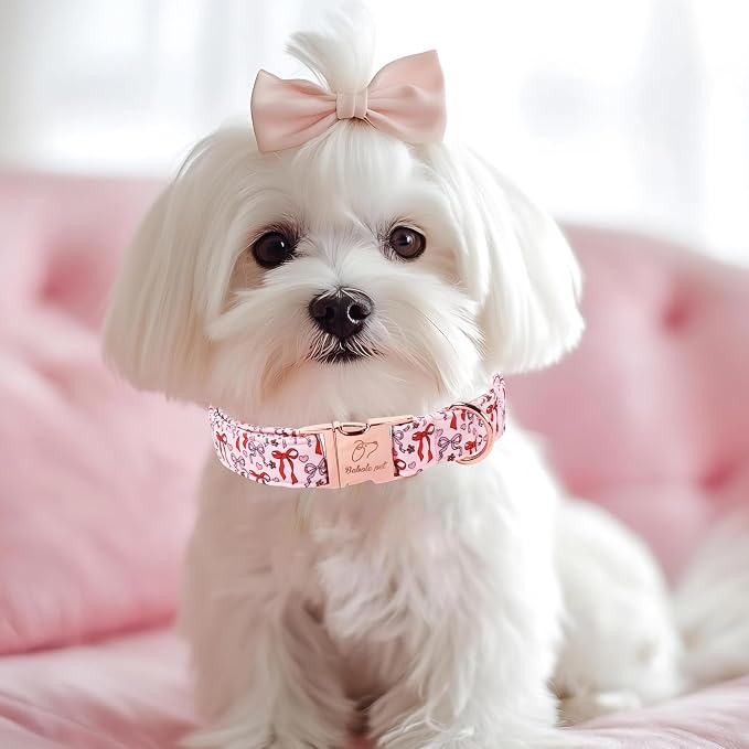 Pink Dog Collar for Female Medium Dogs - Cute Bow Pattern Girl Dog Collar for Spring Summer, Adjustable Heavy Duty Pet Valentines Collars with Metal Buckle M