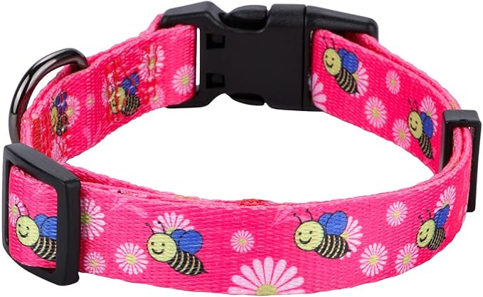 Pink Dog Collar Summer Daisy and Bees Print for Large Dogs