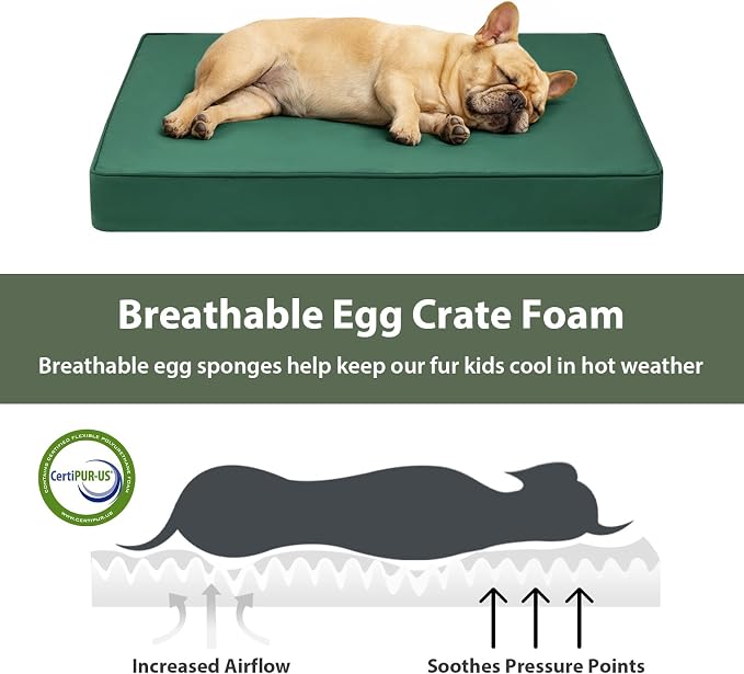 WNPETHOME Outdoor Dog Bed Waterproof, Large Outdoor Dog Bed for Large Sized Dog, Outdoor Indoor Dog Bed with Removable Washable Cover, Egg Crate Foam Dog Crate Mat, Durable Waterproof Dog Bed, Green