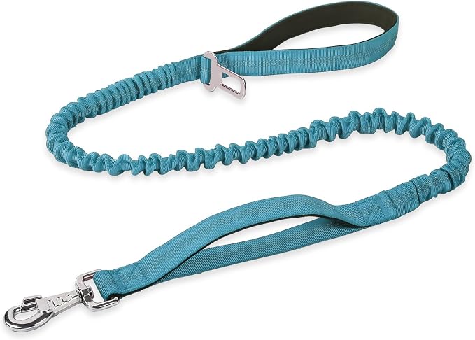 BUMBIN 6Ft Dog Leash Large Dogs, Bungee Dog Leash with 2 Handles, Heavy Duty Leashes for Medium Small Dogs, No Pull Shock Absorbing，with Car Seat Belt for Training, Blue