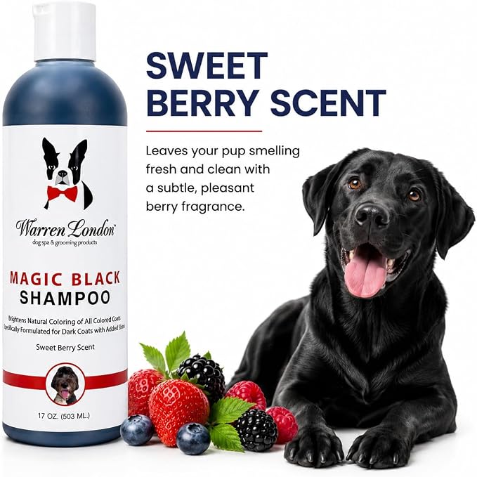 Warren London Magic Black Dog Shampoo | Brightens Any Dog Coat | Formulated for Darker Dog Coats | Puppy and Cat Safe Grooming Supplies | Berry Scent 128 Ounce, Made in USA
