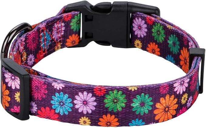 Girl Dog Collars Fall Daisy Pattern, Colorful Flowers Print, Female Collar, Dark Purple, Medium