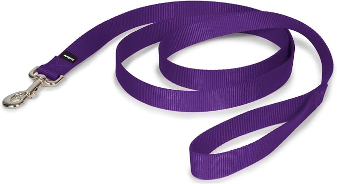 PetSafe Nylon Dog Leash - Strong, Durable, Traditional Style Leash with Easy to Use Bolt Snap - 1 in. x 6 ft., Deep Purple
