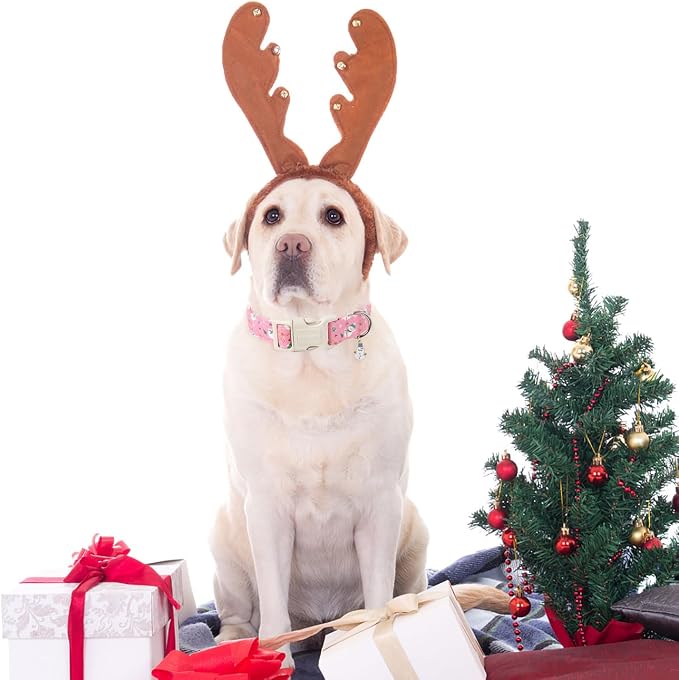 DOGWONG Christmas Snowman Dog Collar- Cute Designer Christmas Blue Dog Collars Adjustable Christmas Deer Dog Collars for Small Medium Large Dogs XS