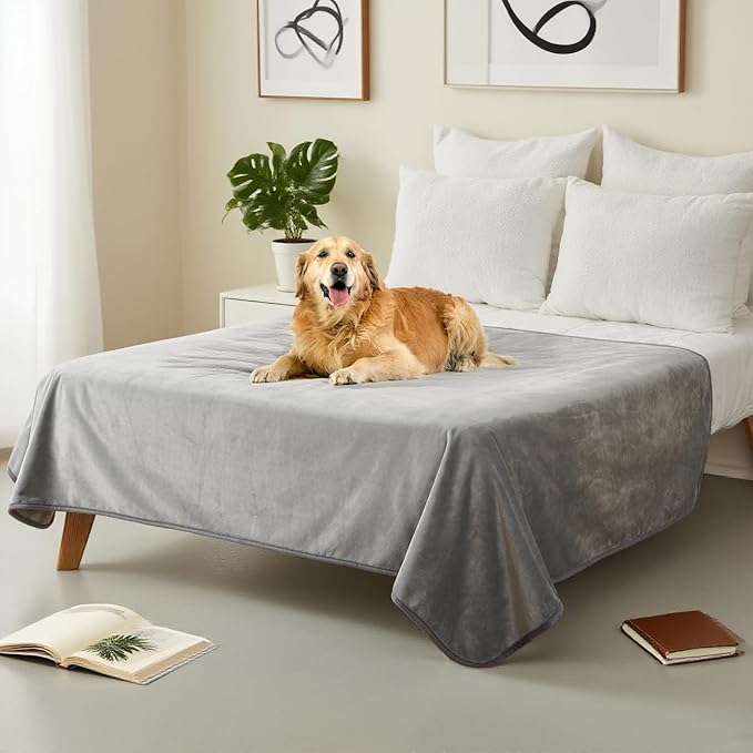 Waterproof Dog Blankets Pet Blanket 50"x60", Soft Fluffy Sofa Car Bed Protector, Reversible Leakproof Flannel Dog Blanket for Large Dogs(Light Grey)