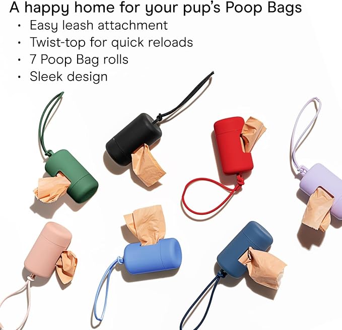 Wild One Dog Poop Bag Holder and Dispenser with Leash Attachment, Leak Proof, Easy Twist Top for Refills, Includes 1 Box Of Bags, Seafoam