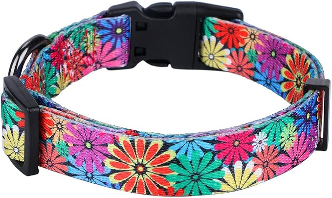 Dog Collar with Sunflowers Daisy Large