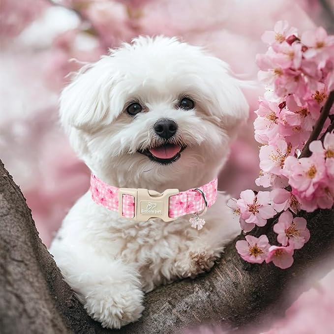 Girl Dog Collar Pink Gingham Bow Dog Collars for Puppy Small Dogs - Lightweight Adjustable Girly Spring Female Dogs Everyday Collar with Safety Buckle XS