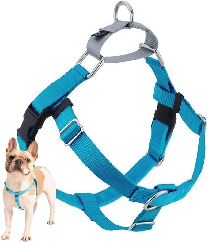 2 Hounds Design Freedom No Pull Dog Harness, Adjustable Harness, Easy Walking & Comfortable Control, Fits Small, Medium & Large Dogs, Solid Colors, Made in USA, 1" XL, Turquoise