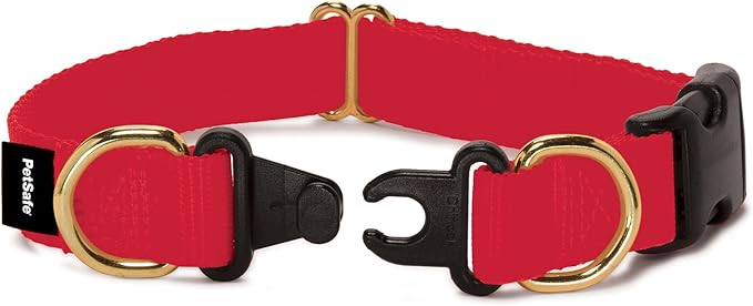 PetSafe KeepSafe Break-Away Collar 1 in Wide, Large, Red Prevent Collar Accidents for Your Dog or Puppy Improve Safety, Compatible with Leash Use, Adjustable Sizes