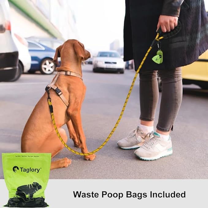 Taglory Rope Dog Leash 6 FT with Comfortable Padded Handle, Highly Reflective Threads Leash and Anti-Tangle Clip for Walking Small Dogs, 3/8 inch, Yellow