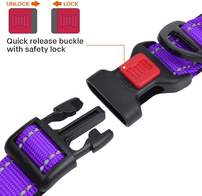 Taglory Reflective Dog Collar for Medium Dogs, Soft Neoprene Padded with Escape-Proof Locking Buckle, Upgraded Zinc Alloy Ring, Adjustable for Walking Female Male, Purple,M