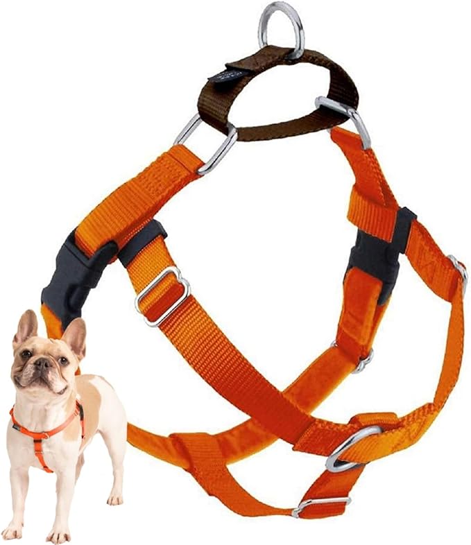 2 Hounds Design Freedom No Pull Dog Harness, Adjustable Harness, Easy Walking & Comfortable Control, Fits Small, Medium & Large Dogs, Solid Colors, Made in USA, 1" LG, Rust