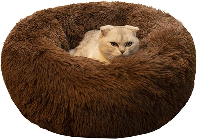 Modern Soft Plush Round Pet Bed for Cats or Small Dogs, Mini Medium Sized Dog Cat Bed Self Warming Autumn Winter Indoor Snooze Sleeping Cozy Kitty Teddy Kennel (24'' D x 8'' H, Chocolate)