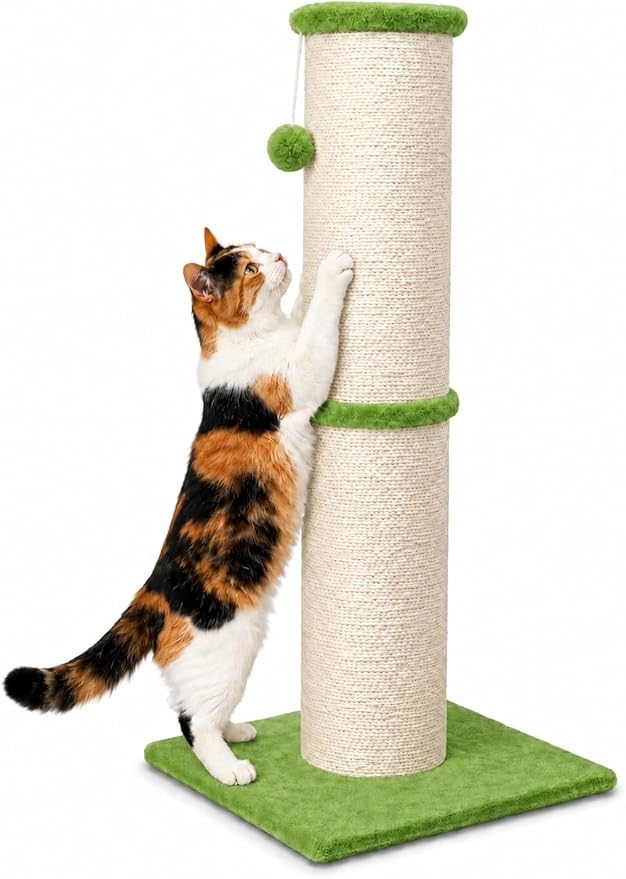 PAWSCRAT Cat Scratching Post 32 Inch High, 5.5 Inch Large Diameter Natural Sisal Cat Scratch Post, Scratch-Resistant and Durable Tall Cat Scratcher for Indoor Cats, Green